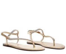 Rasteira Brilhosa Tira Curva Dourada