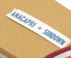 Rasteira Tiras Cruzadas Gorgurão Sundown Multicolor