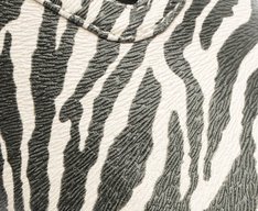 Sapatilha Tira Dupla Fivelas Megan Animal Print Zebra