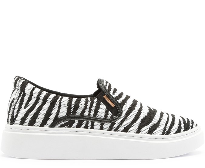 tenis de zebra