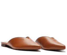 Mule Bico Fino Marrom
