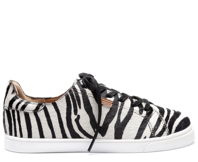 tenis de zebra