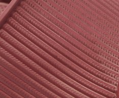 Chinelo Nuvem Texturizado Injetado Roxo