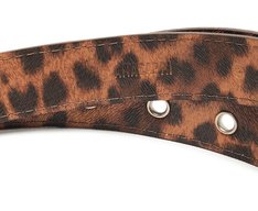 Cinto Fivela Ilhós Animal Print